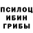 Псилоцибиновые грибы MAGIC MUSHROOMS Ilxam Isakov
