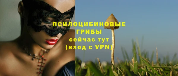 a pvp Беломорск