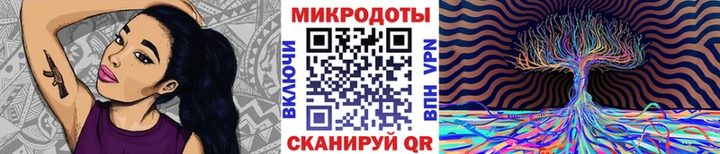 Галлюциногенные грибы Psilocybe  Омск 